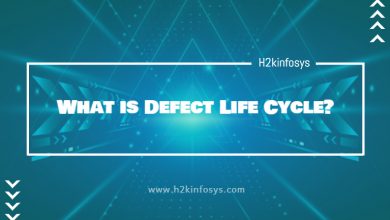 What is Defect Life Cycle