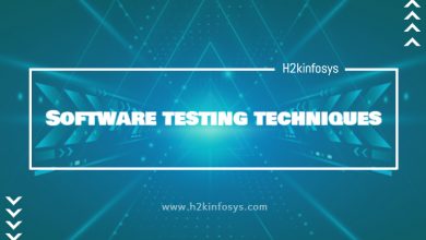 Software testing techniques