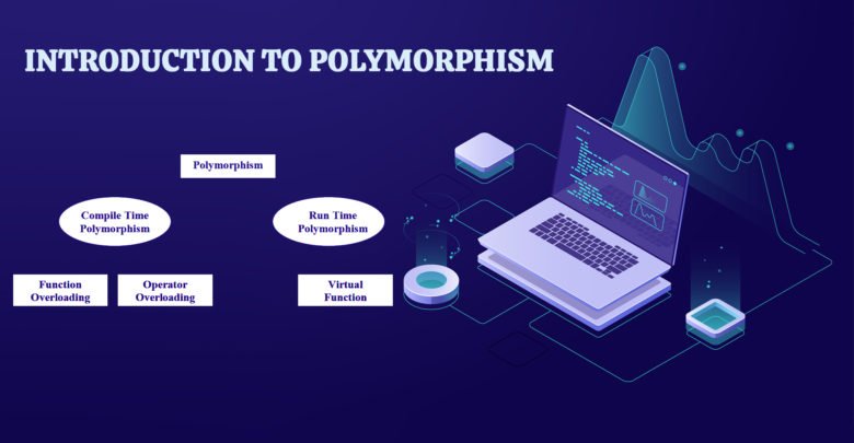 Introduction to Polymorphism
