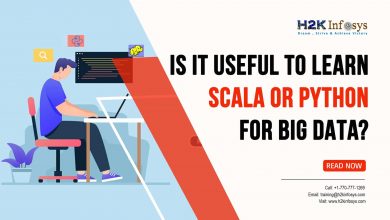 Is it useful to learn Scala or Python for big data