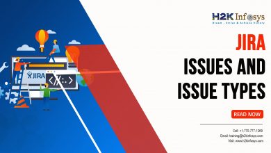 JIRA Issues and Issue Types