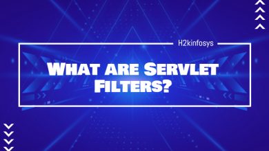 What are Servlet Filters