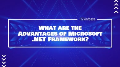 What are the Advantages of Microsoft .NET Framework