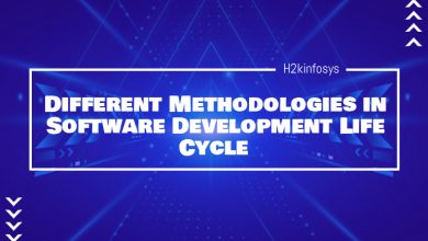 Different Methodologies in Software Development Life Cycle