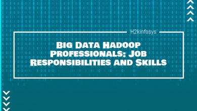 Big Data Hadoop Professionals: Job Responsibilities and Skills