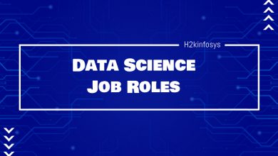 Data Science Job Roles