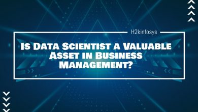 Is Data Scientist a Valuable Asset in Business Management