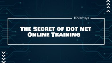 The-Secret-of-Dot-Net-Online-Training