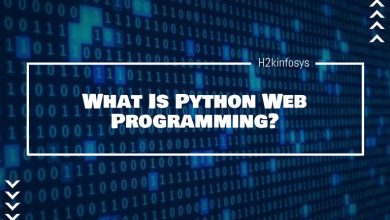What Is Python Web Programming?