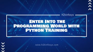 Enter Into the Programming World with Python Training