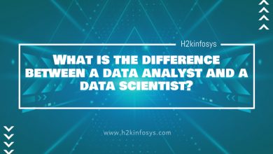 What is the difference between a data analyst and a data scientist?