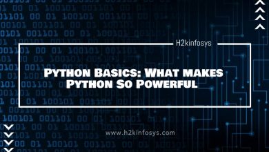 Python Basics What makes Python So Powerful
