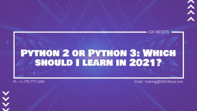 Python 2 or Python 3