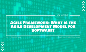 Agile Framework: What is the Agile Development Model for Software ...