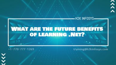 What are the future benefits of learning .Net