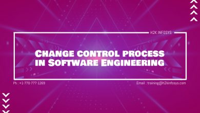Change control process in Software Engineering