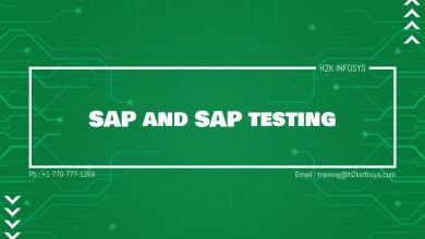 SAP and SAP testing