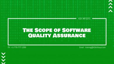 The Scope of Software Quality Assurance