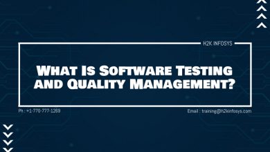 What Is Software Testing and Quality Management