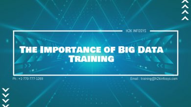 The Importance of Big Data Training