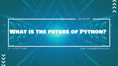 What is the future of Python?