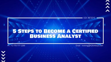 Certified Business Analyst