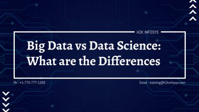 Big Data vs Data Science: What are the Differences