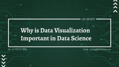 Why is Data Visualization Important in Data Science