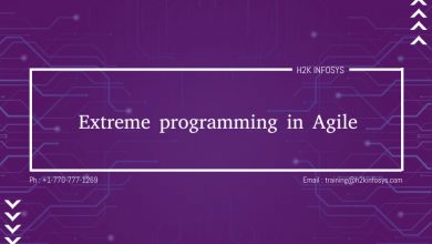 Extreme Programming in Agile