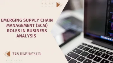 Emerging Supply Chain Management (SCM) roles in Business Analysis 