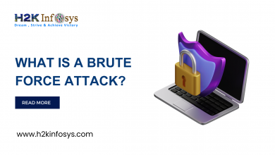 What Is a Brute Force Attack?