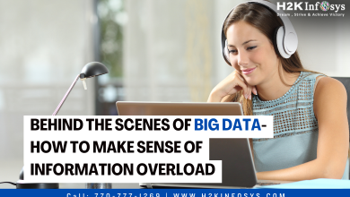 Behind the Scenes of Big Data- How to Make Sense of Information Overload