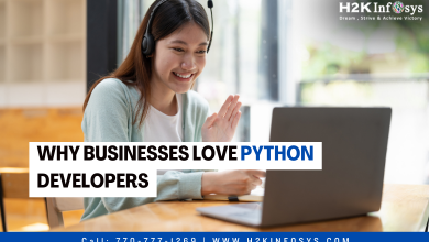 Why Businesses Love Python Developers