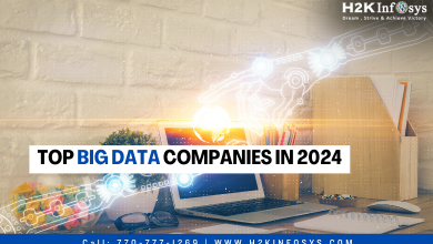 Top Big Data Companies in 2024