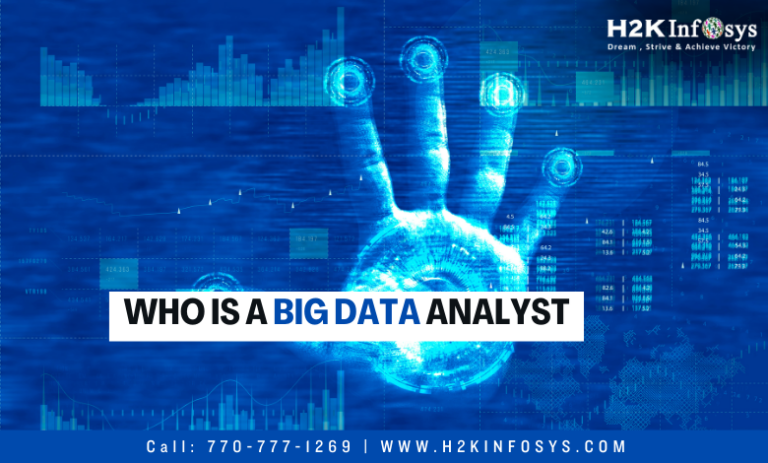 Who is a Big Data Analyst