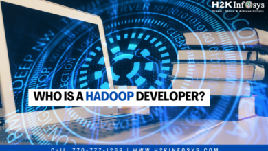 Who is a Hadoop Developer?