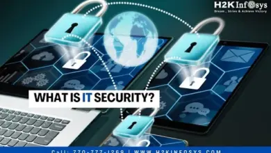 What is IT Security?