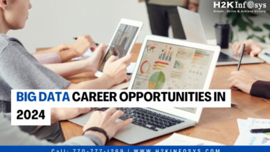 Big Data Career Opportunities in 2024