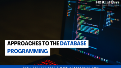 Approaches to the database programming