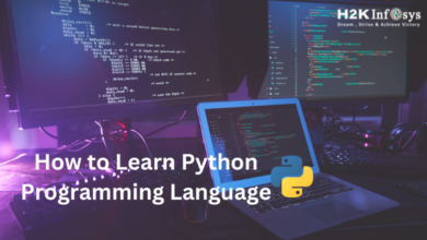 how to learn python programming language