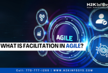 What is Facilitation in Agile?