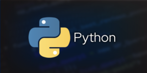 What Is a Python Program? Learn the Essentials