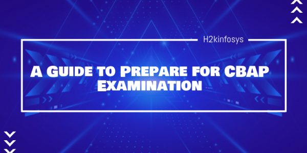 A-Guide-to-Prepare-for-CBAP-Examination