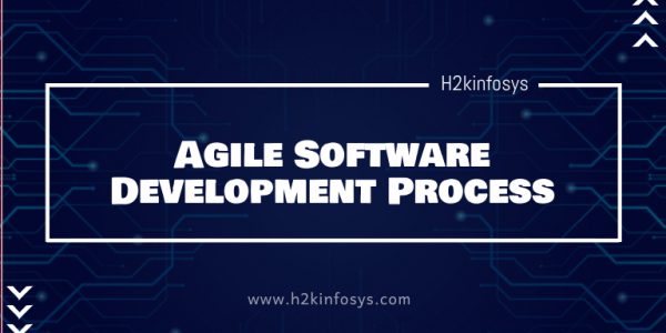 Agile Software Development Process