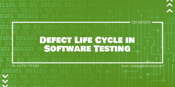 Defect Life Cycle in Software Testing