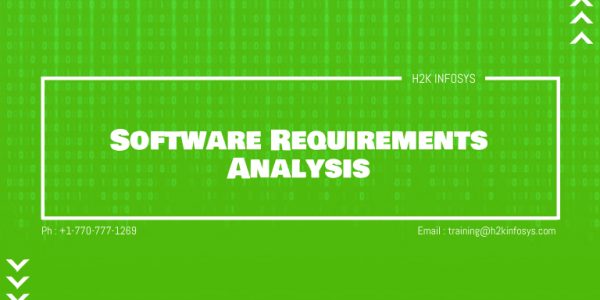 Software Requirements Analysis