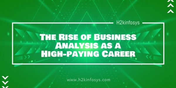 The Rise of Business Analysis as a High-paying Career