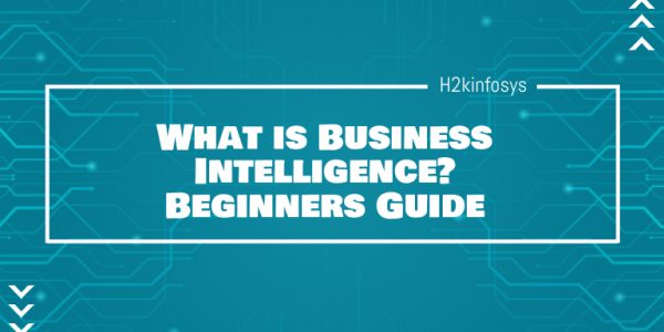 What is Business Intelligence Beginners Guide